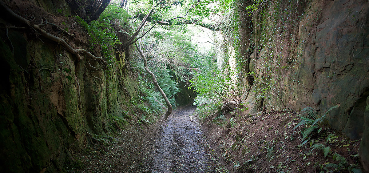 hollow ways in dorset
