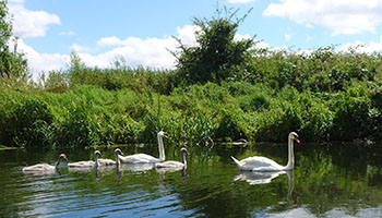 the cairngorms with wilderness weekends